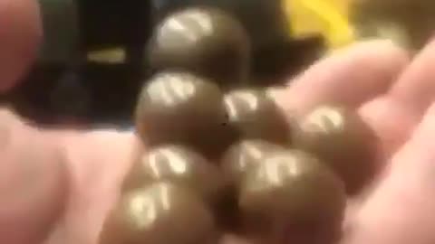 笑える動画5
