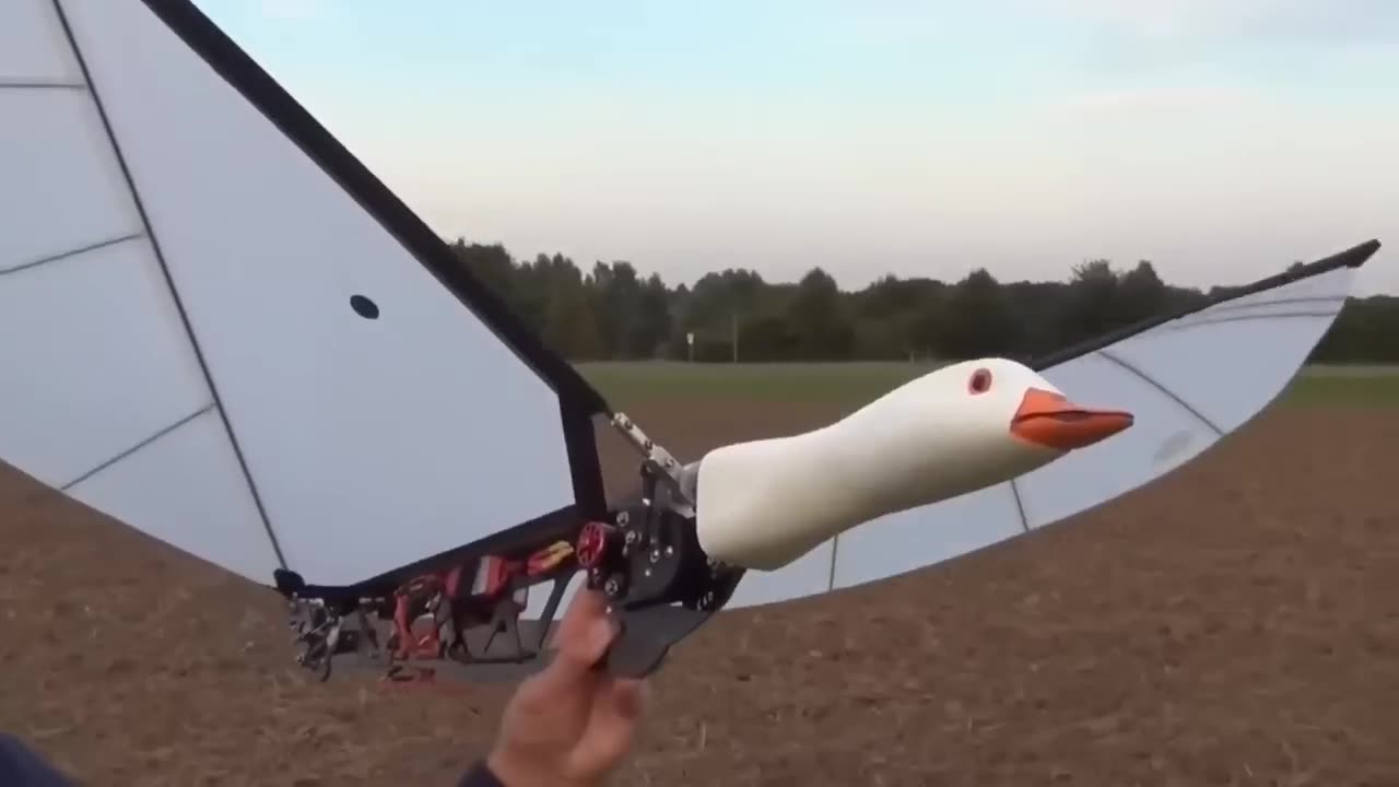 Robotic animal innovations.