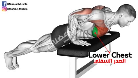 How to Make Bigger Chest Exercises Fastest -(6 Effective Exercises)