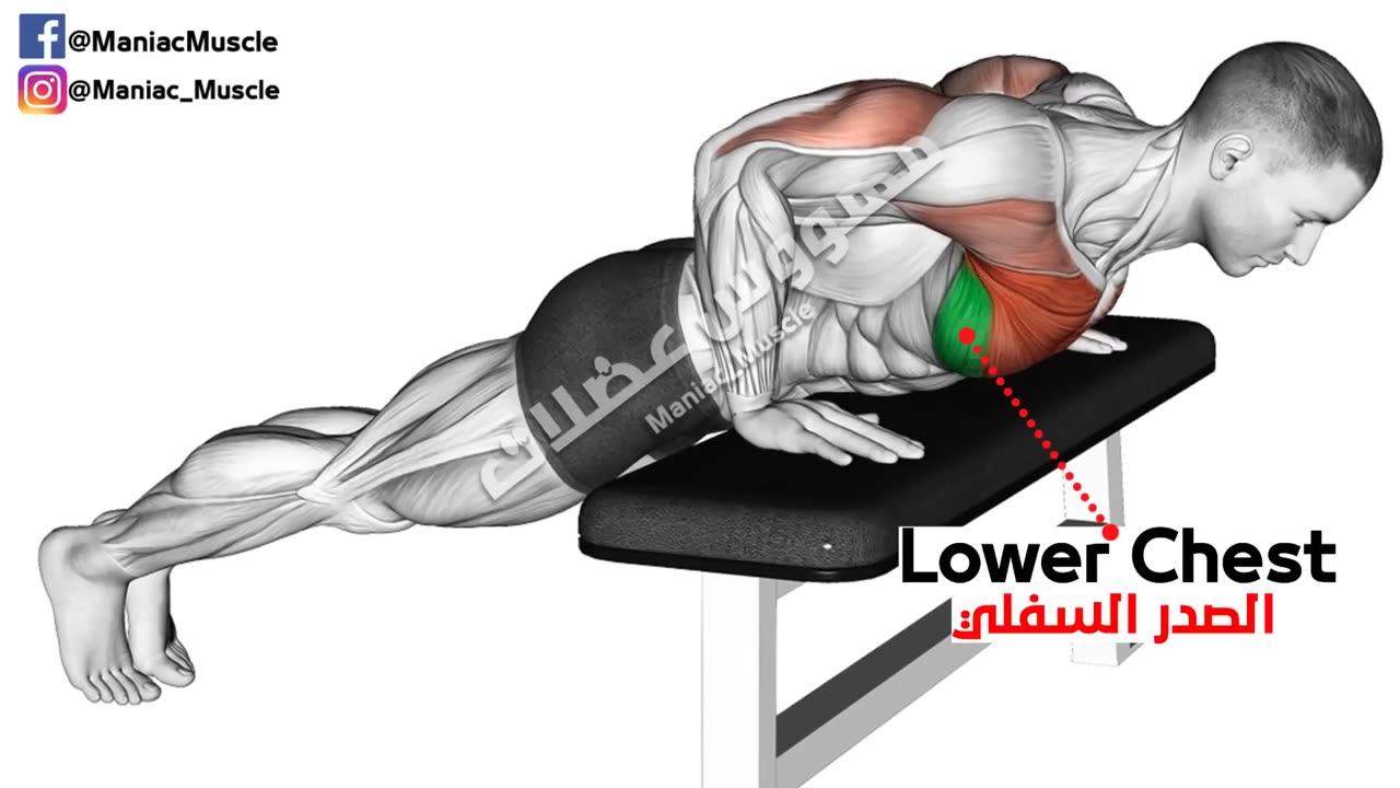 How to Make Bigger Chest Exercises Fastest -(6 Effective Exercises)
