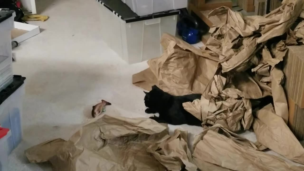 20240319 194319 Tux Fishing in Crunchy Paper Pile