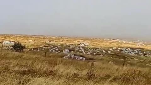 RTANJ MOUNTAIN-AUTUMN