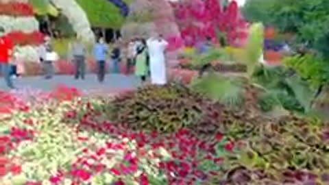 Dubai Miracle garden