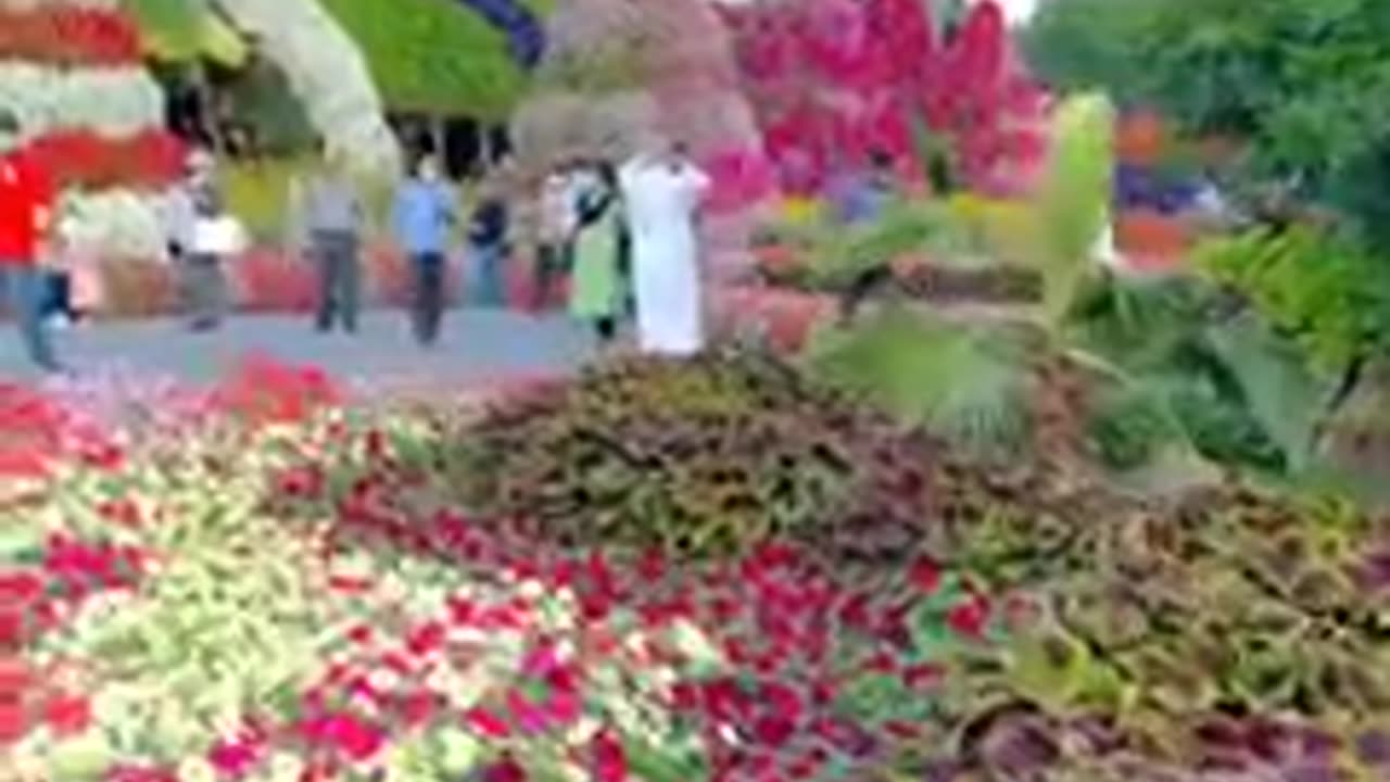 Dubai Miracle garden