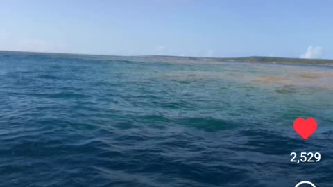 Cargo Ship Sinks In Bahamas