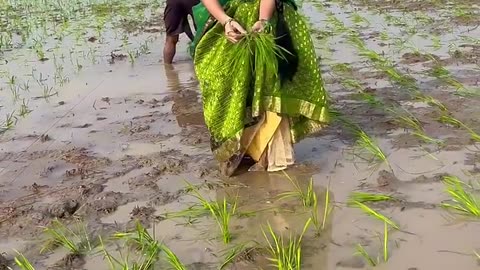 Work on field