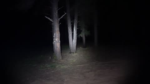 He Broke Into My Camper While I Was INSIDE!!