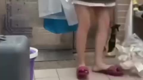 short viral funny fails