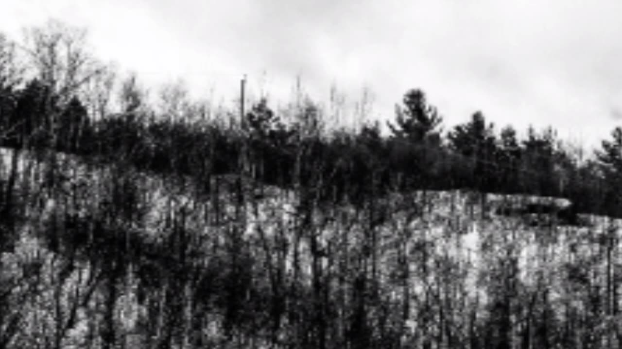 Music 6