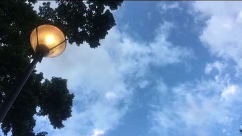 Rise