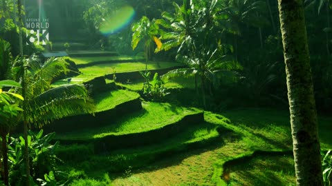Travel and sightseeing in Bali