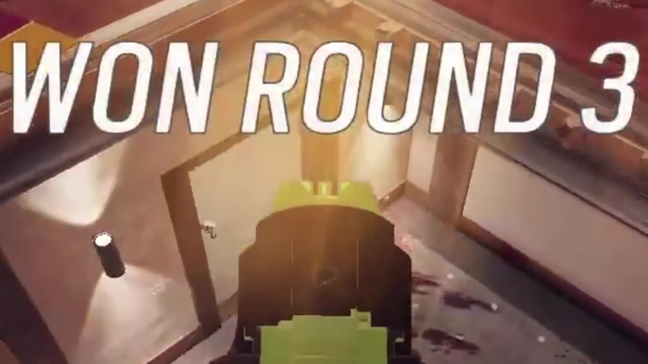 Never Seen that before R6 shorts