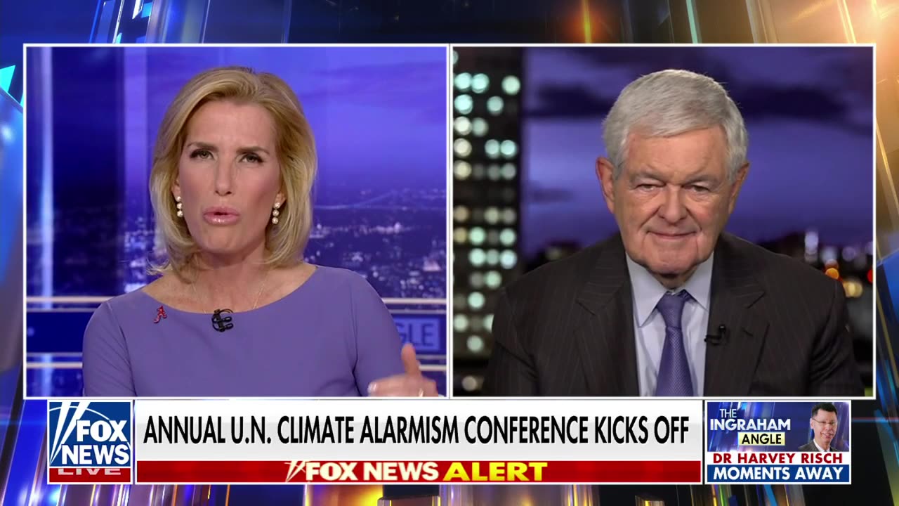 Newt Gingrich warnt, John Kerrys Klimawandel-Agenda sei ein geheimes "Eugenik-Programm"