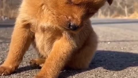 sleepy.