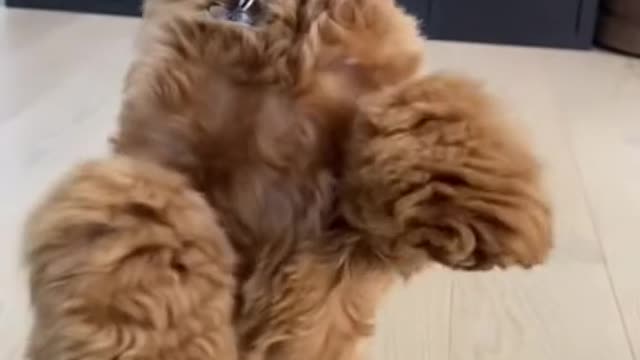 Do you think cuteš„°