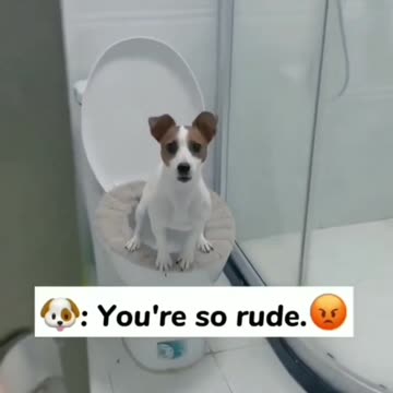 Fighting for personal time🤣😂