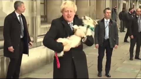 Boris Dog Kisses* him on The Face Live