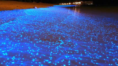 Sea of Stars - Vaadhoo Island, Maldives