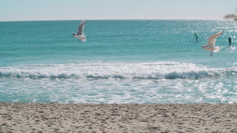 Surfing on the Sea