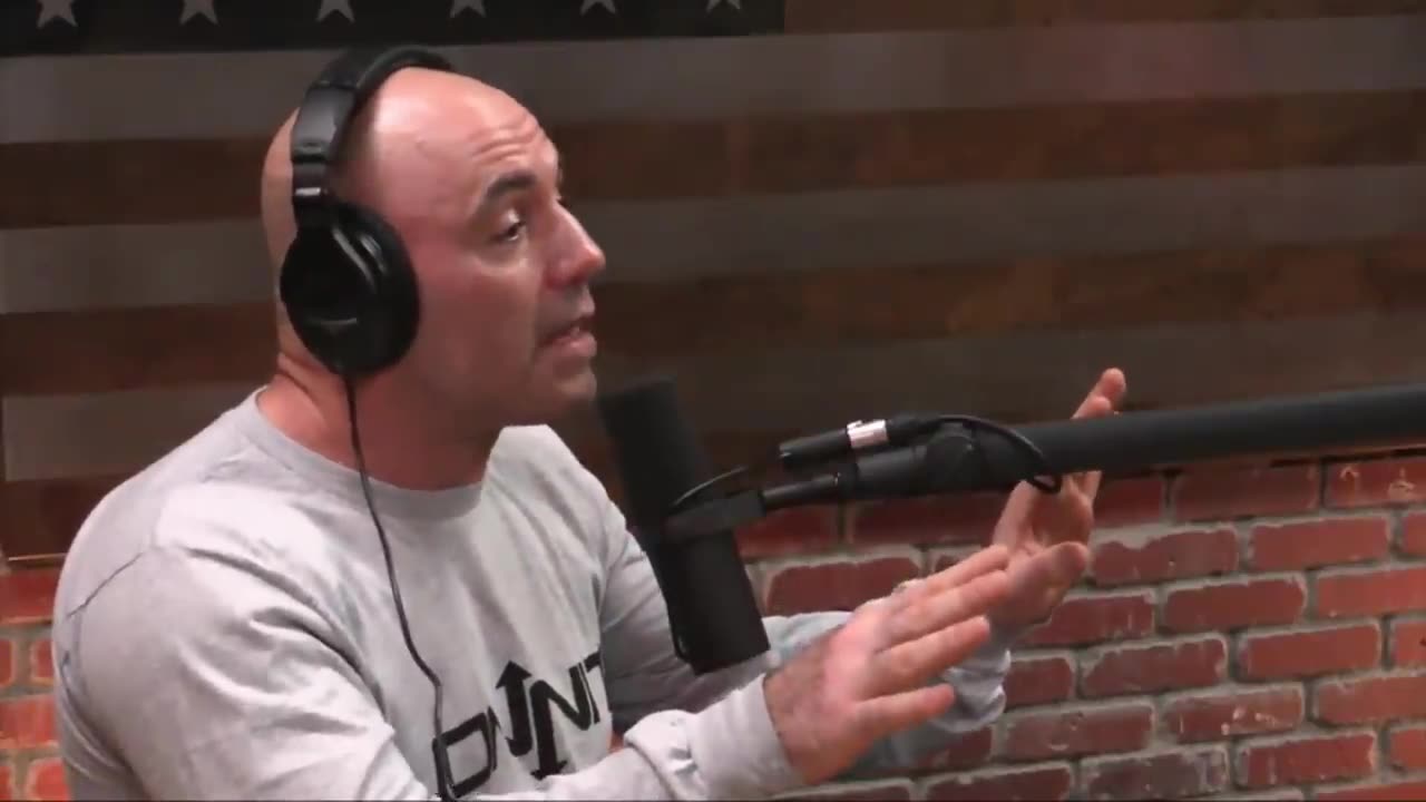 Joe Rogan Argues Over Amy Schumer Joke Theft Accusations