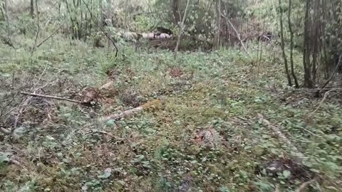 Tilanvaltaus lenkkipolulla