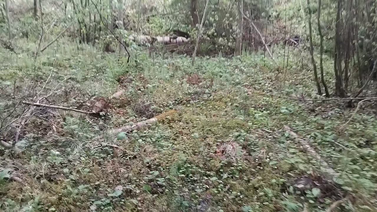 Tilanvaltaus lenkkipolulla