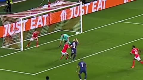 When Bolo went closer he saw that it