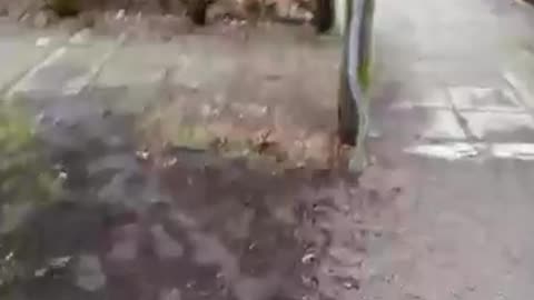 Promenad i Helsingborg 21 Febr. 2018