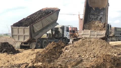 Amazing!!! Bulldozer Action Moving Dirt Filling Connect The Road