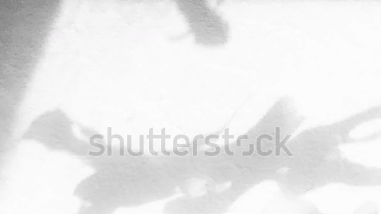 Fish shadow moving freely