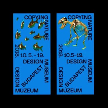 🚀💻 Graphic Trends of 2024: What's Next in Digital Design? | Grainger Webdesign 🌐🎨