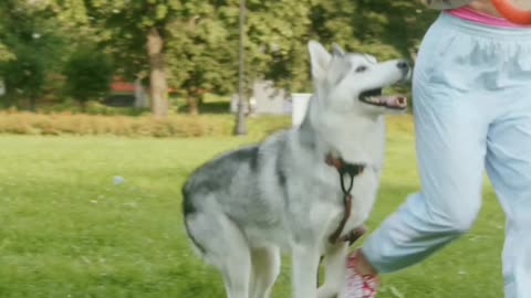 A girl playing with her dog at park