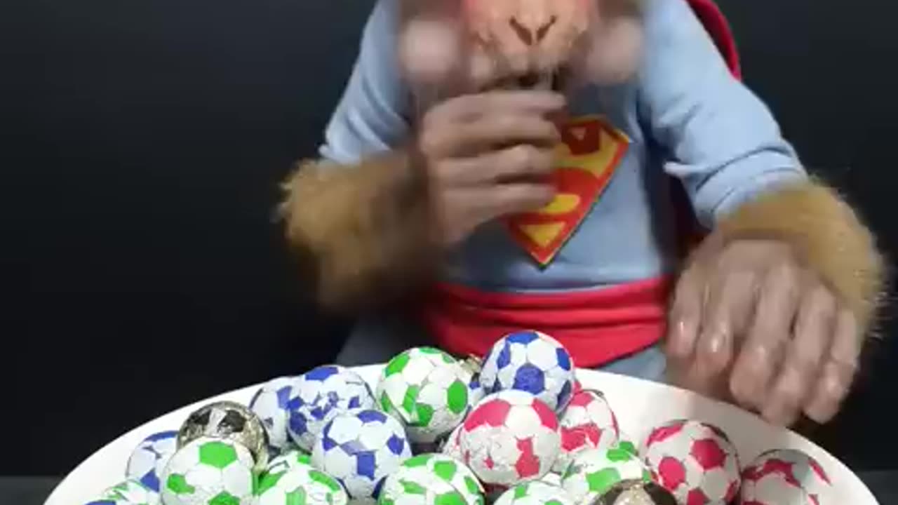 Adorable Baby Monkey and Candy Plate