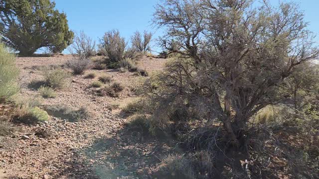 Scenic Views In Arizona Near The Grand Canyon