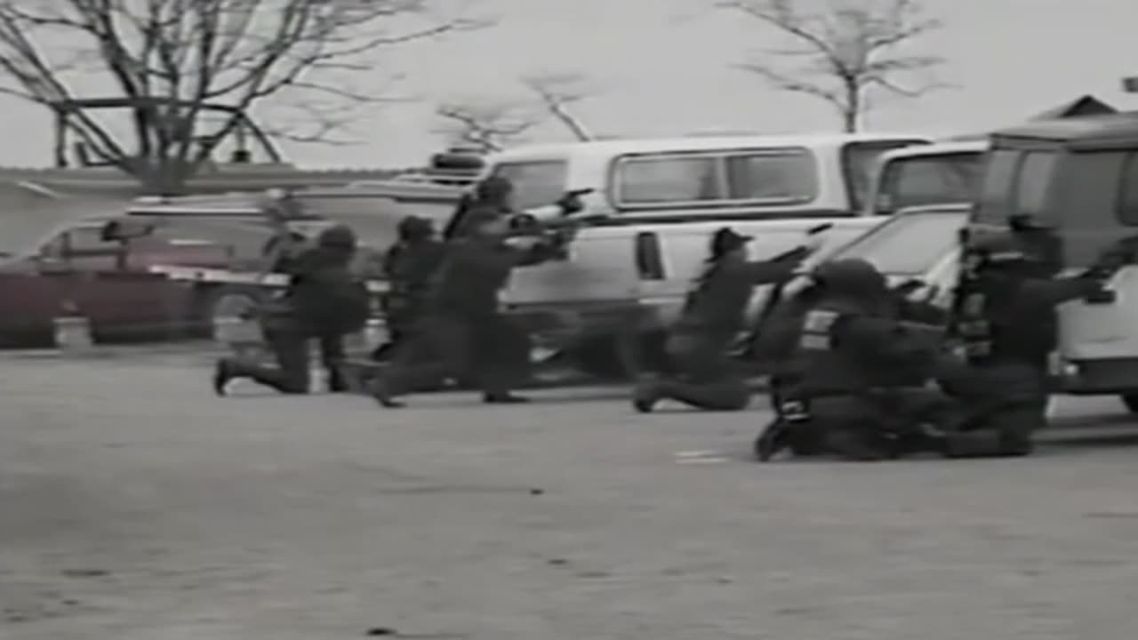 sandy hoaxed documentary