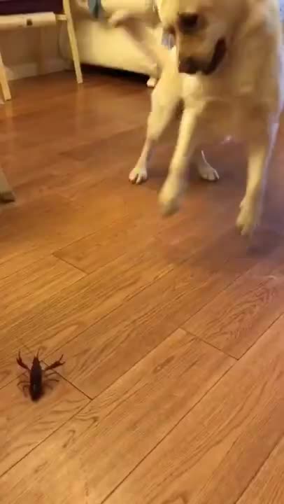 Time for some dance moves 🙋🏻‍♂️💕😆