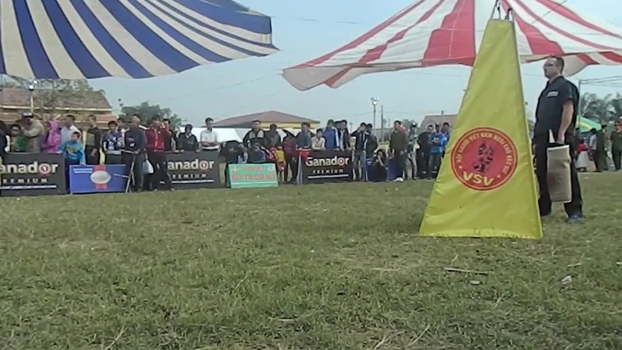 The German Sheepdog Contest is very active