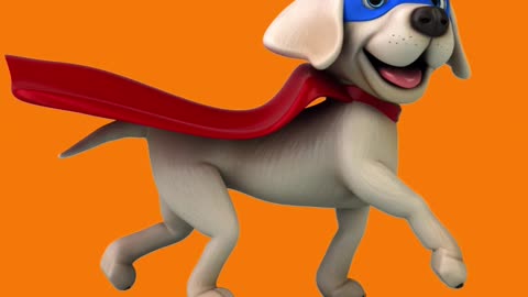 Super dog 😂