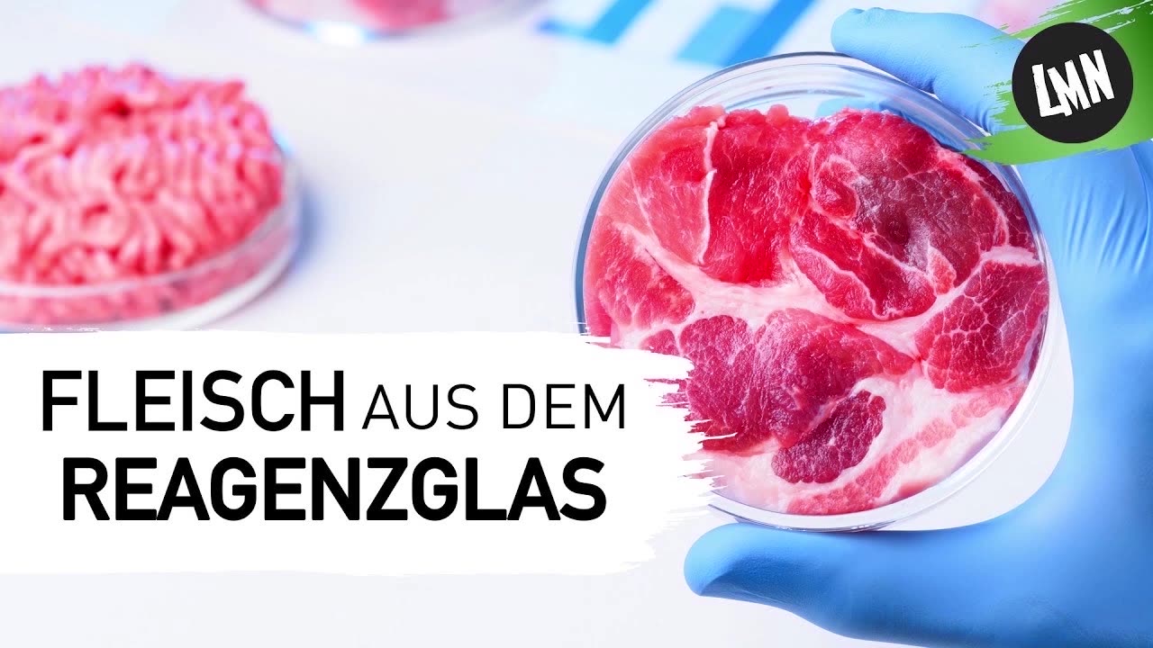 Die 17 Punkte zu einer NWO Diktatur