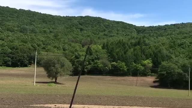 Beautiful foothills and budding corn