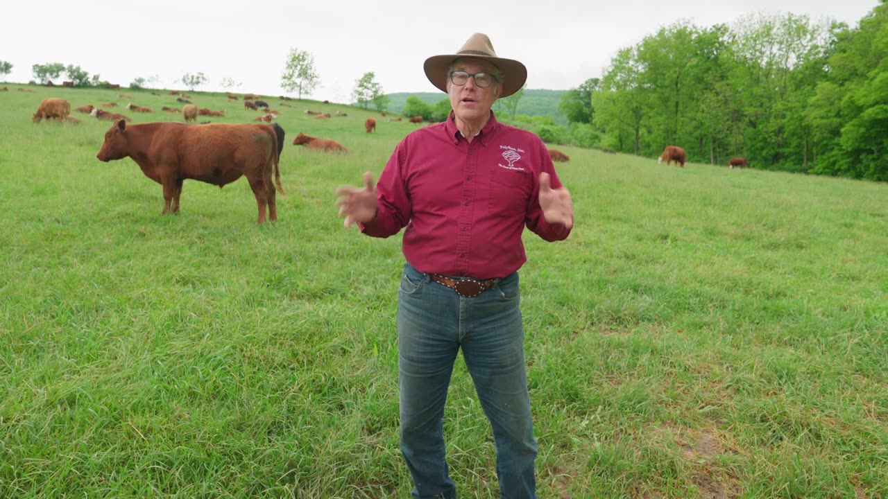 Do Cow Farts Harm the Planet? Joel Salatin Invites Bill Gates to Polyface Farms