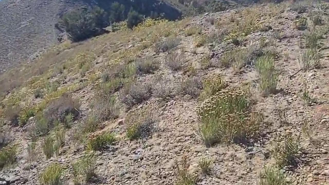 Bountiful Utah hiking