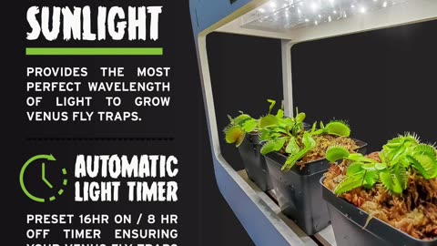Venus Fly Trap Care guide in under a minute