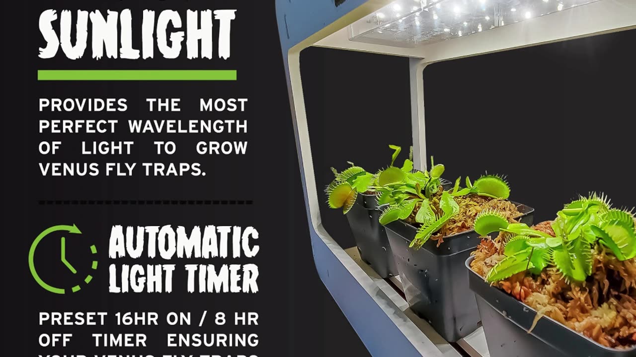 Venus Fly Trap Care guide in under a minute