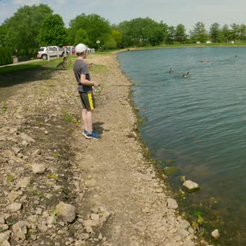 Goose Fight!!! (While Fishing Largemouth Bass)