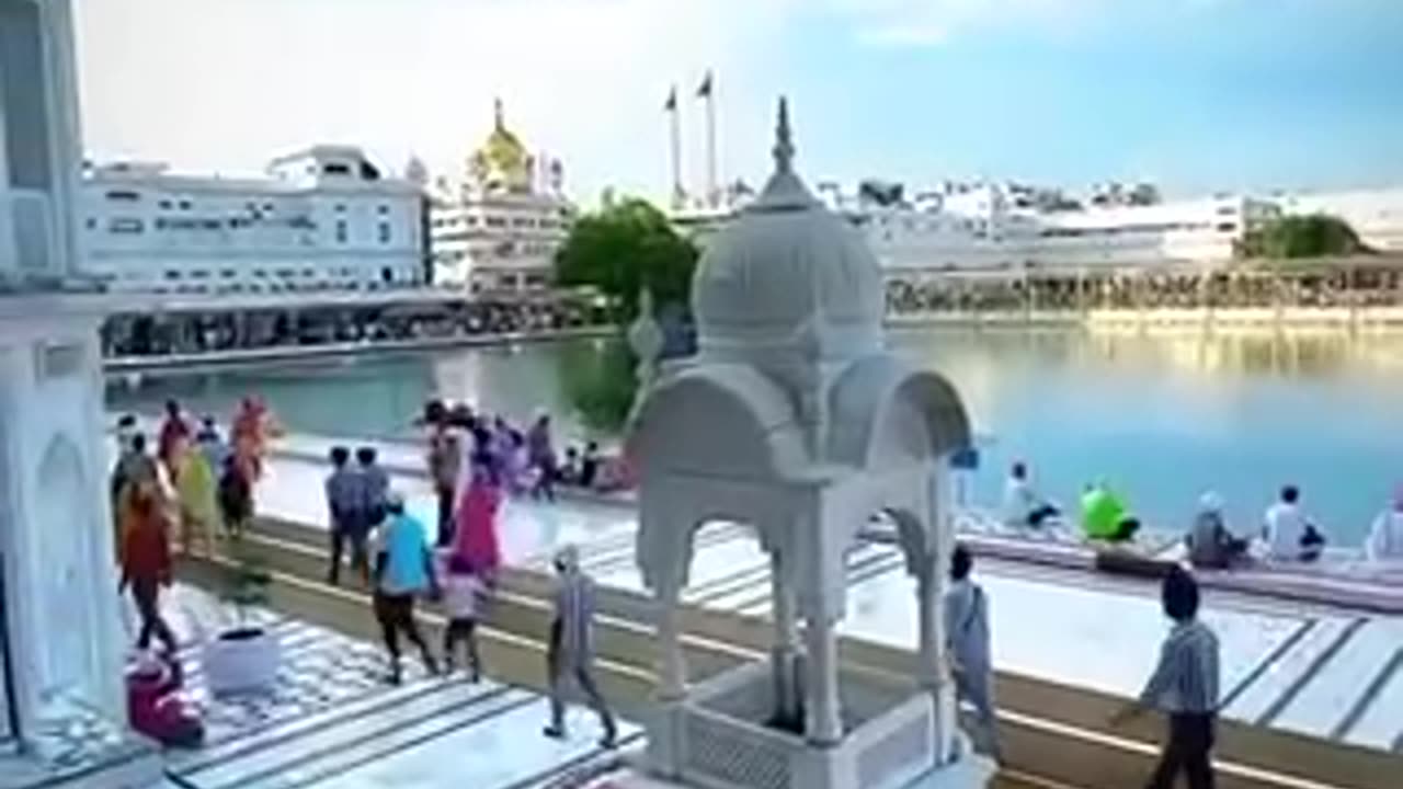 shampy entertainment video