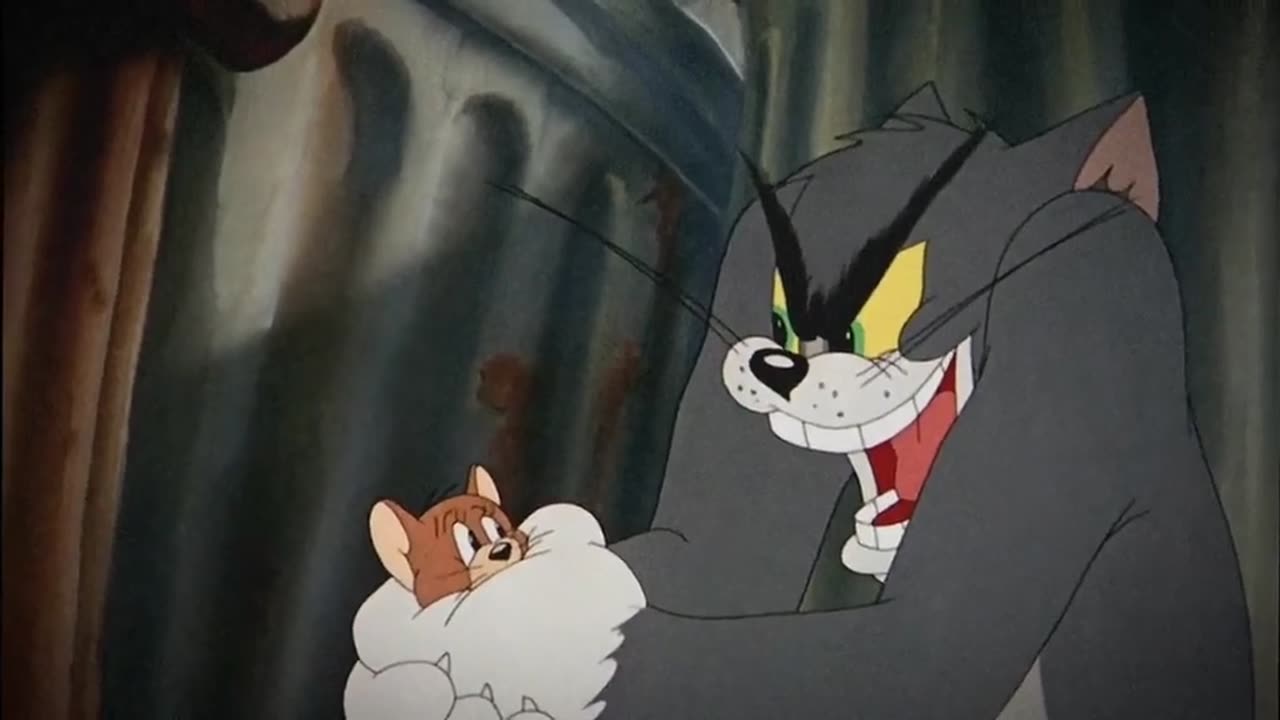 Tom and Jerry😼🐭