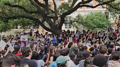 Riot @ University of Texas 4.24.2024