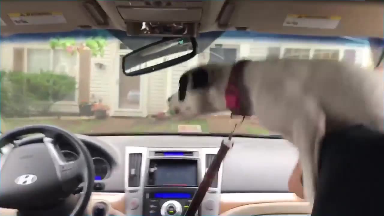 Instagram Comp Of The Week