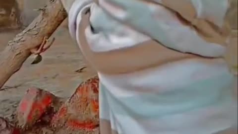 Cute and funny cat video.